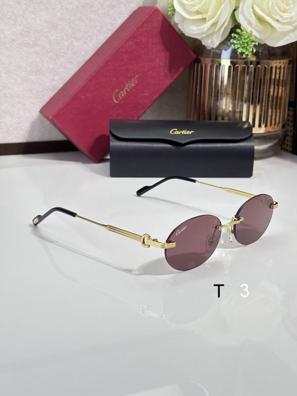 Cartier CT0579S 145 c08