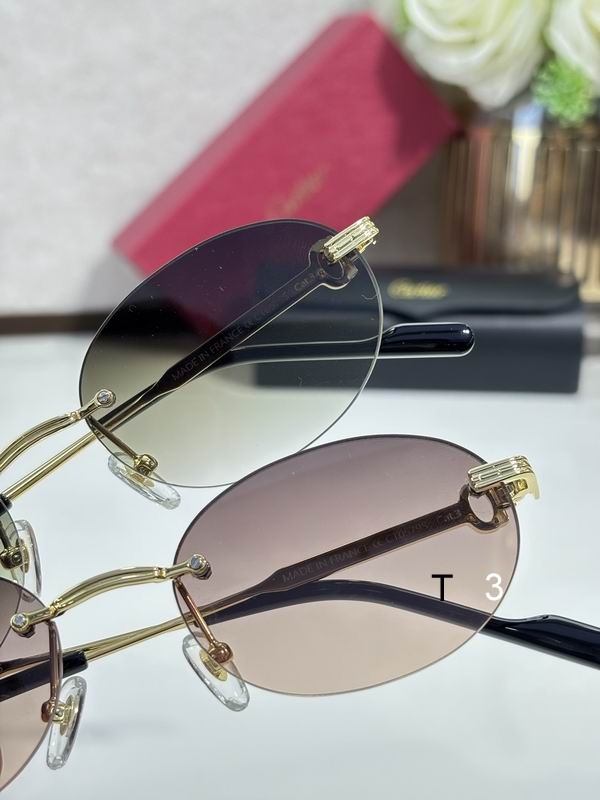 Cartier CT0579S 145 c09