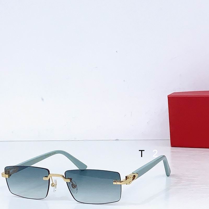 Cartier CT0579S 57-19-145 b01