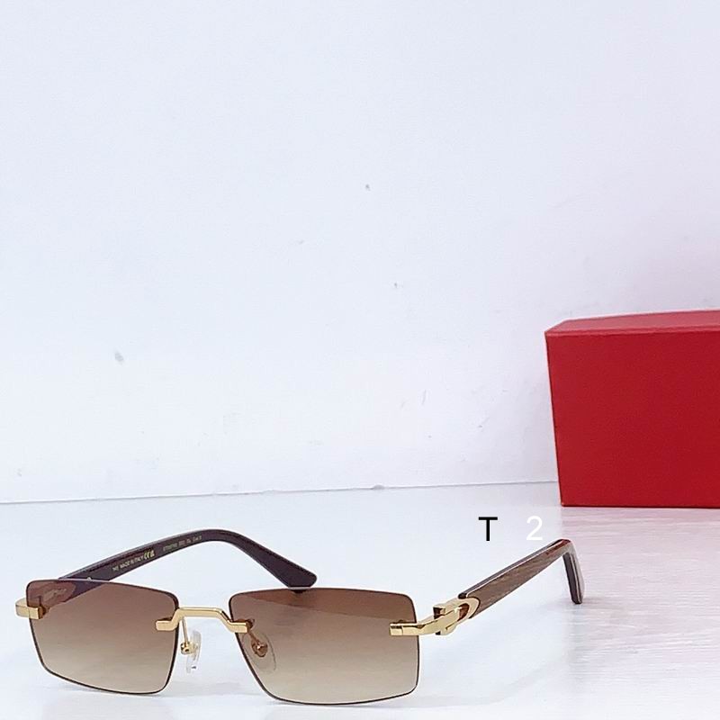 Cartier CT0579S 57-19-145 b03