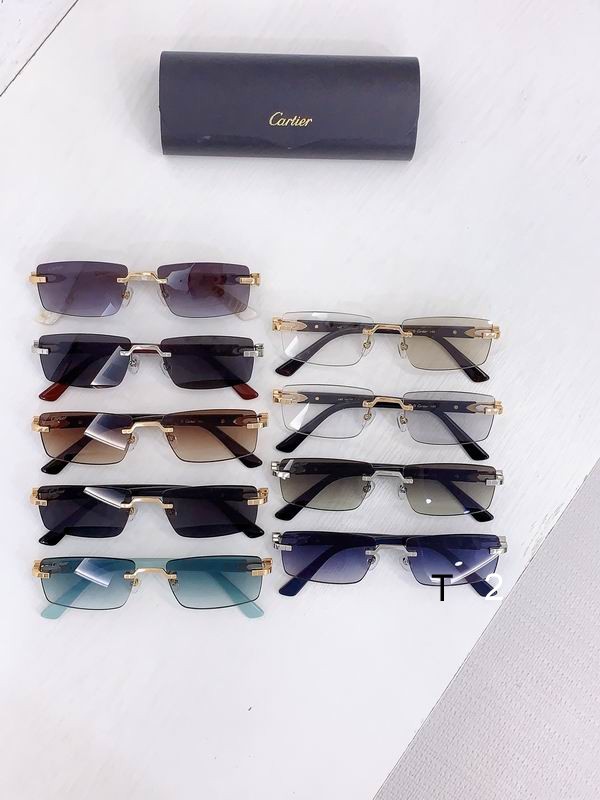 Cartier CT0579S 57-19-145 b10