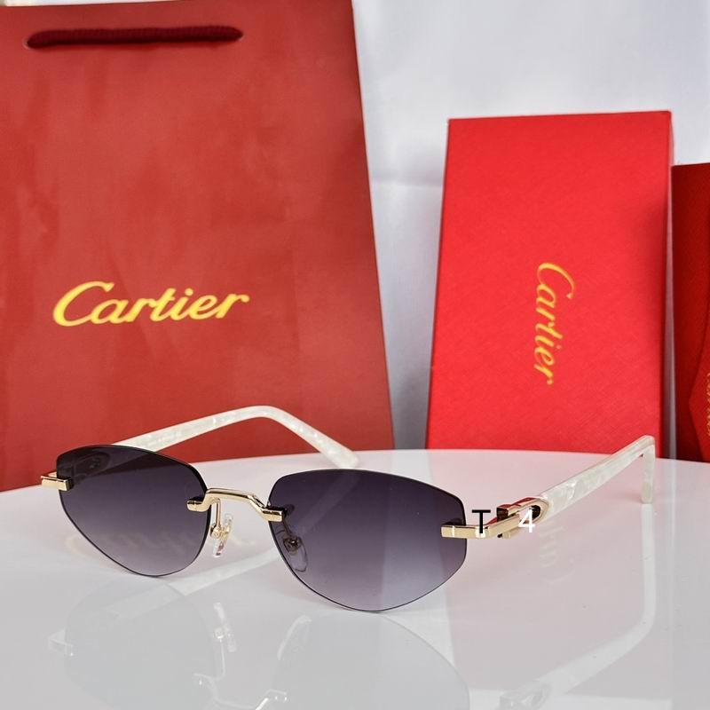 Cartier CT0580S 56 19-145 e03