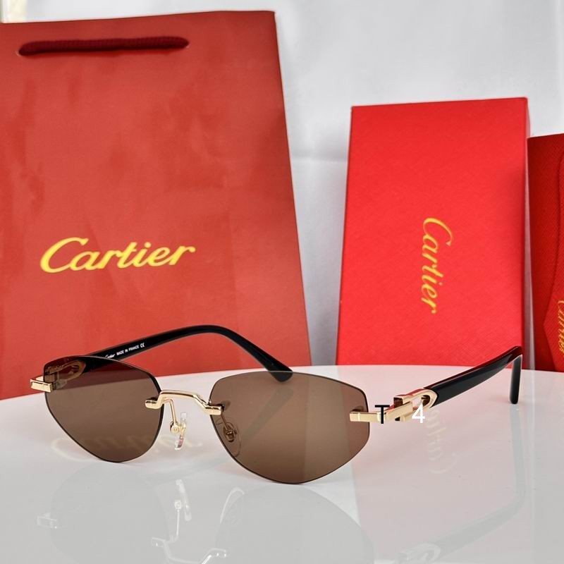 Cartier CT0580S 56 19-145 e04