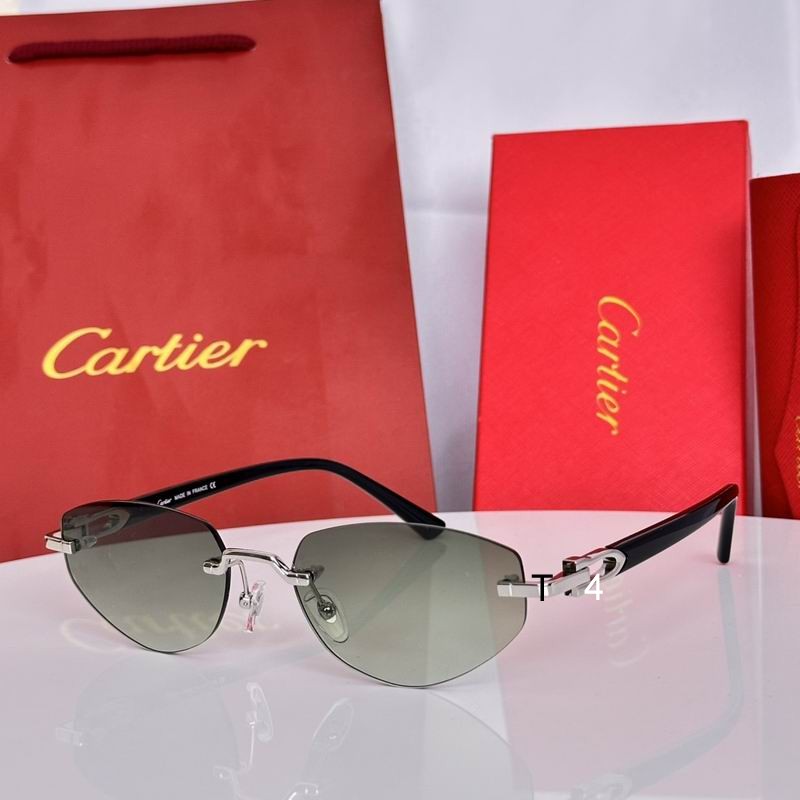 Cartier CT0580S 56 19-145 e05