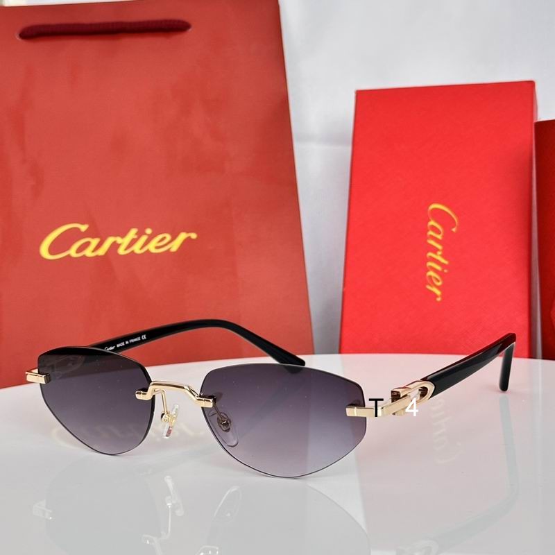 Cartier CT0580S 56 19-145 e06