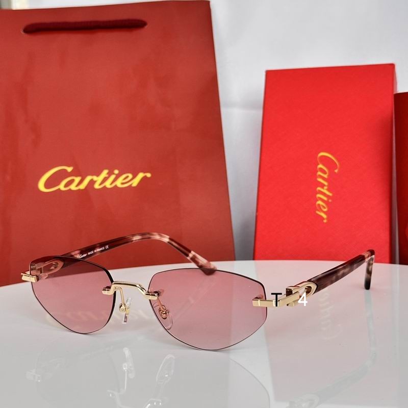 Cartier CT0580S 56 19-145 e07