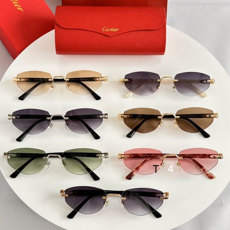 Cartier CT0580S 56 19-145 e08