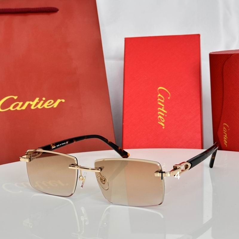 Cartier CT0582S 56 19-145 E01