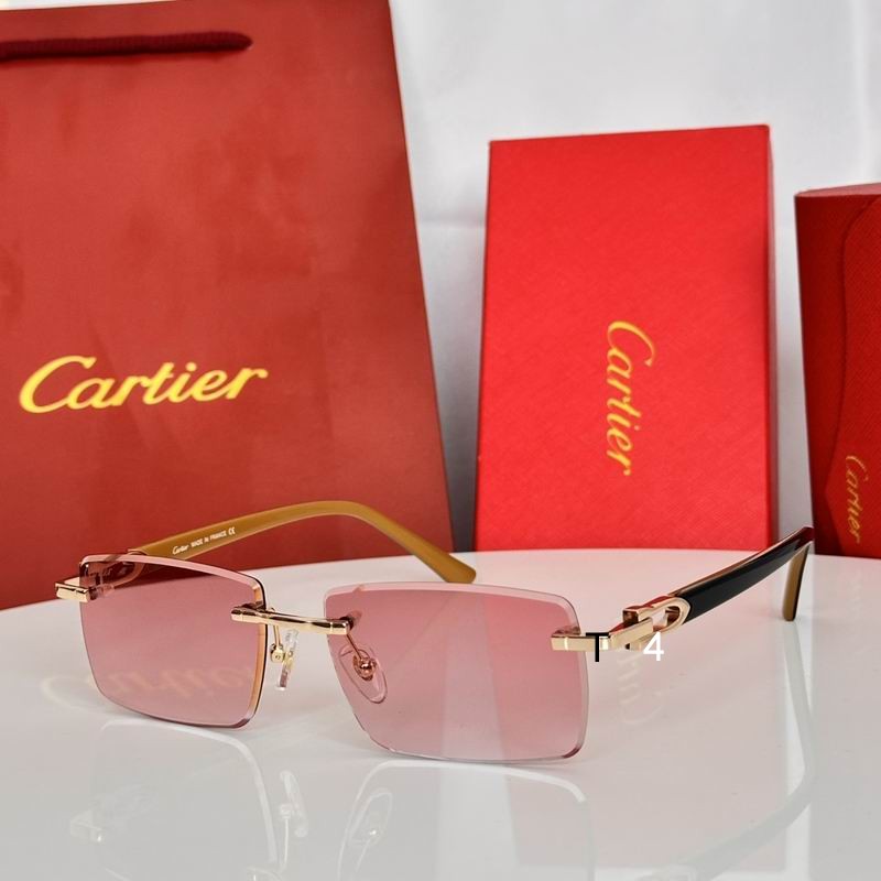 Cartier CT0582S 56 19-145 E02