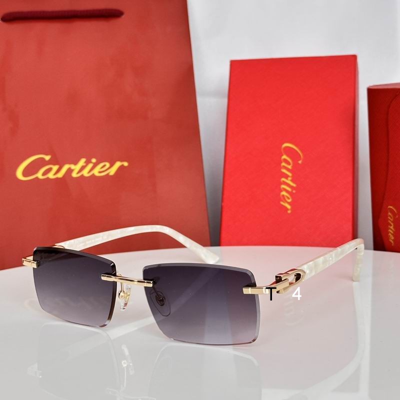 Cartier CT0582S 56 19-145 E03