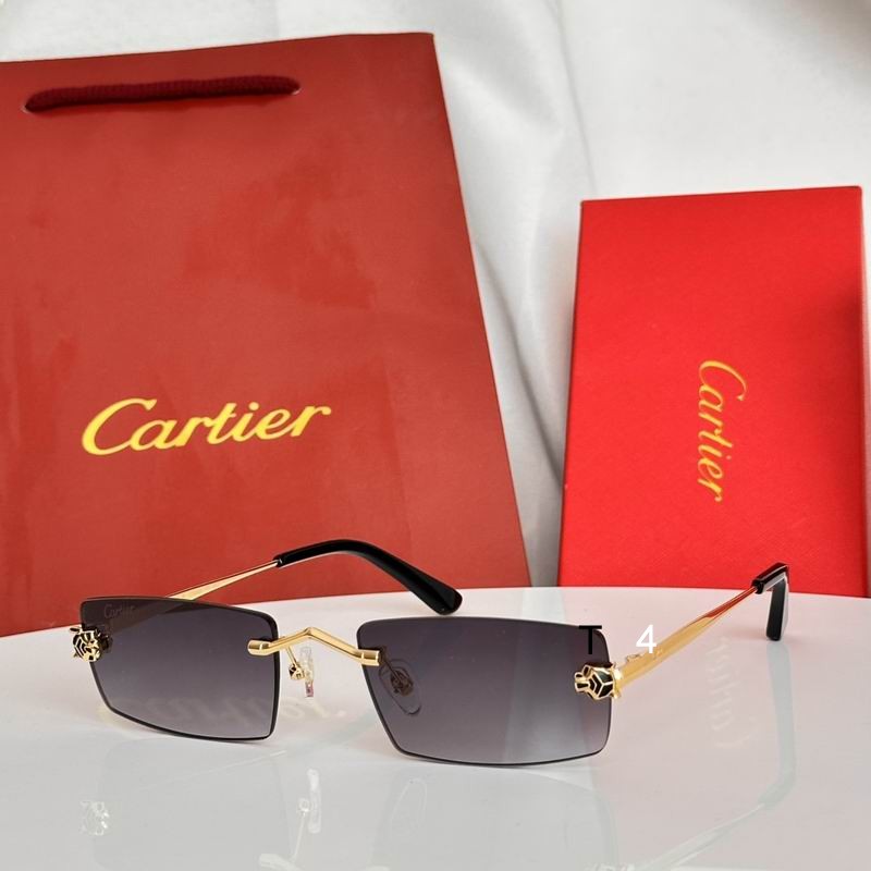 Cartier CT0589S 55 20-145 e01