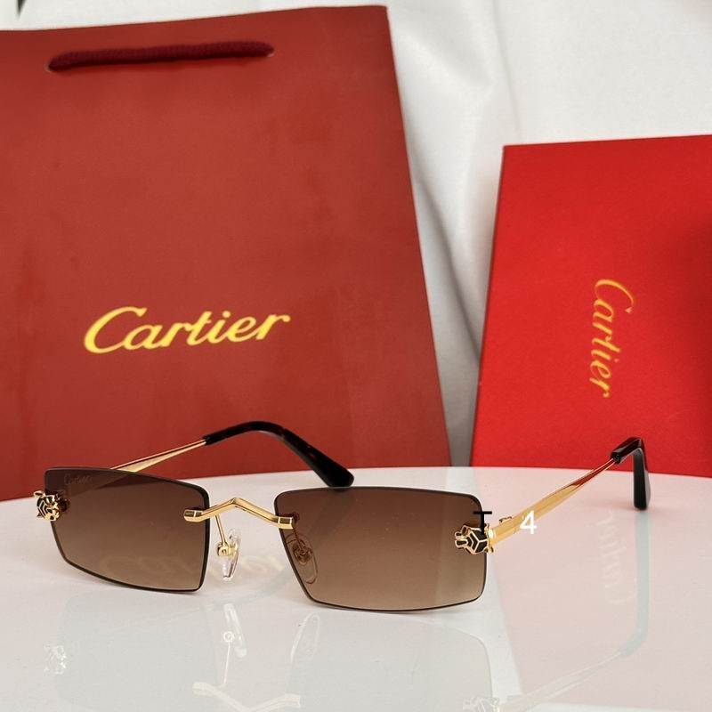 Cartier CT0589S 55 20-145 e03