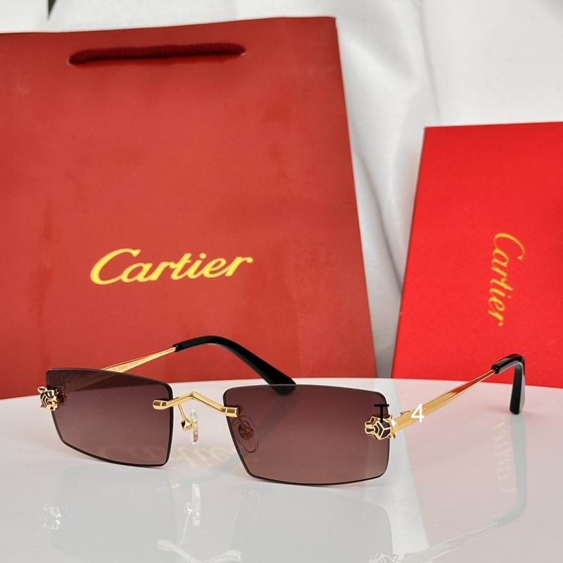 Cartier CT0589S 55 20-145 e04