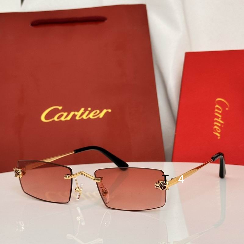 Cartier CT0589S 55 20-145 e06