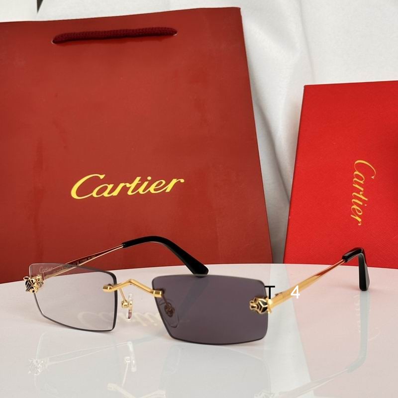 Cartier CT0589S 55 20-145 e07