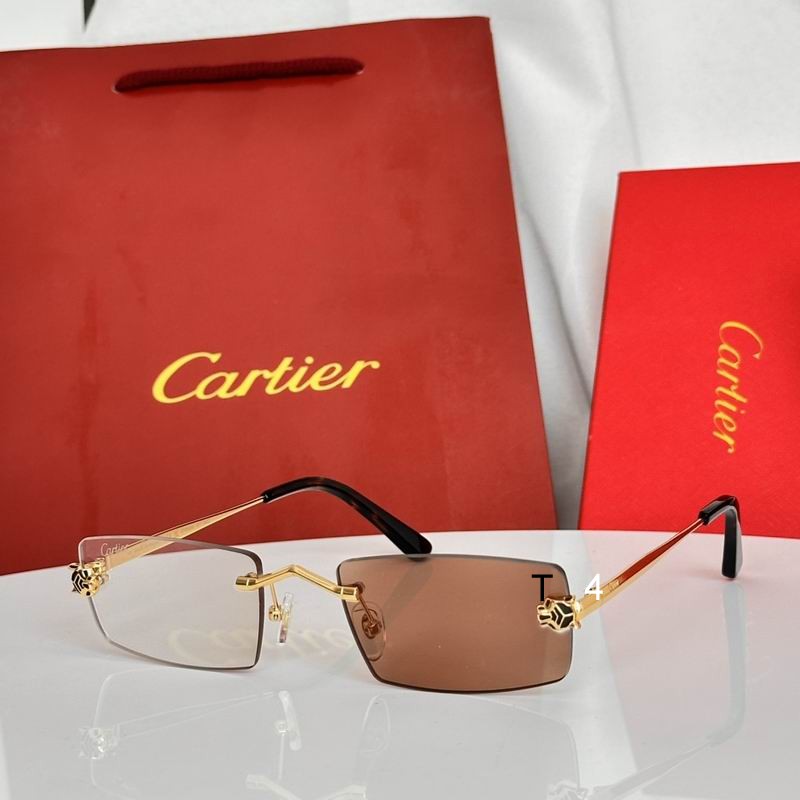 Cartier CT0589S 55 20-145 e08