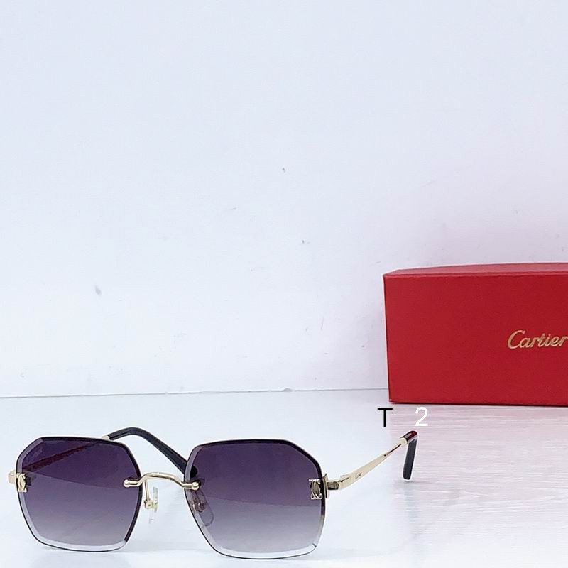Cartier CT0591S 55 20 b01