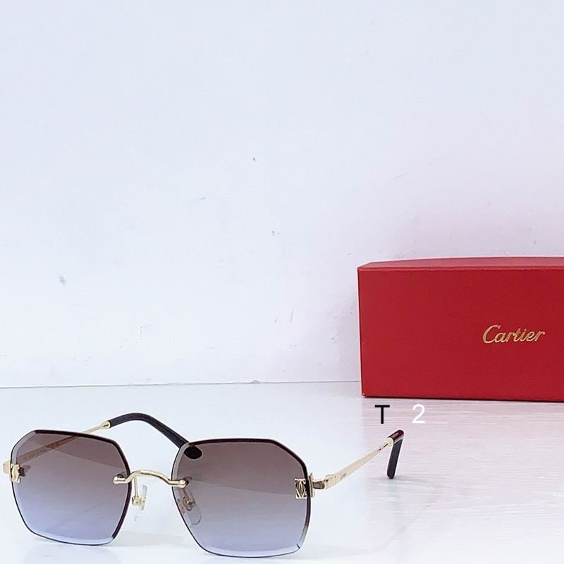 Cartier CT0591S 55 20 b02