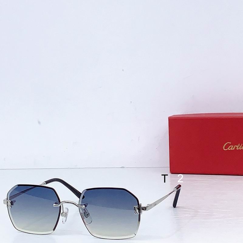 Cartier CT0591S 55 20 b04