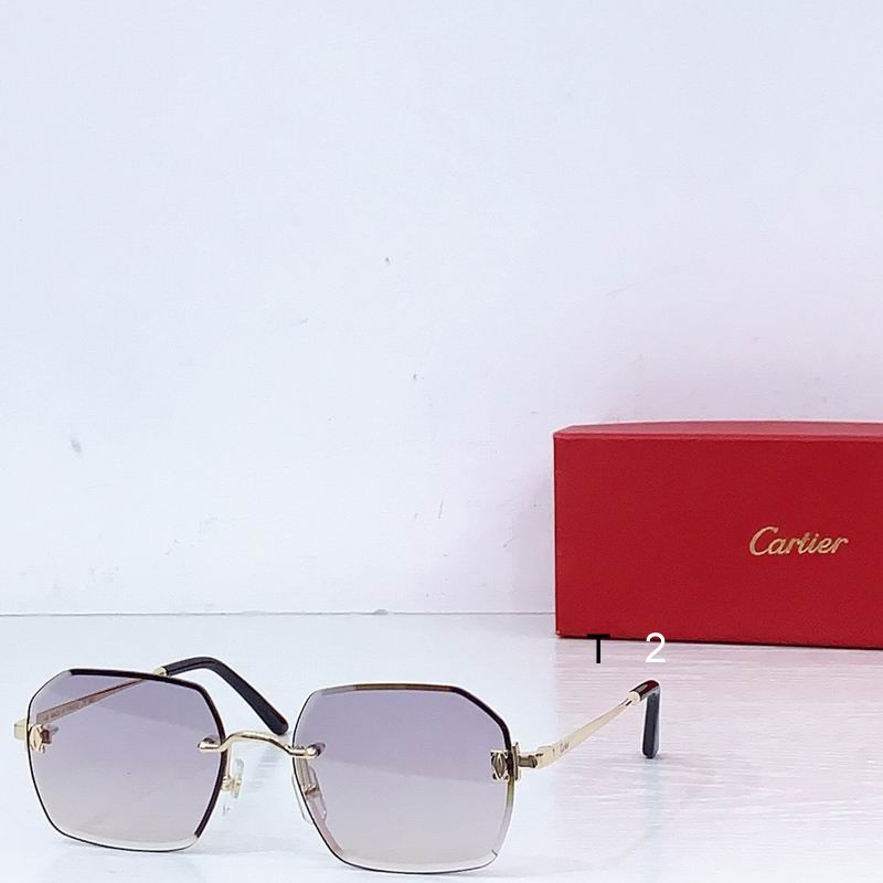 Cartier CT0591S 55 20 b05