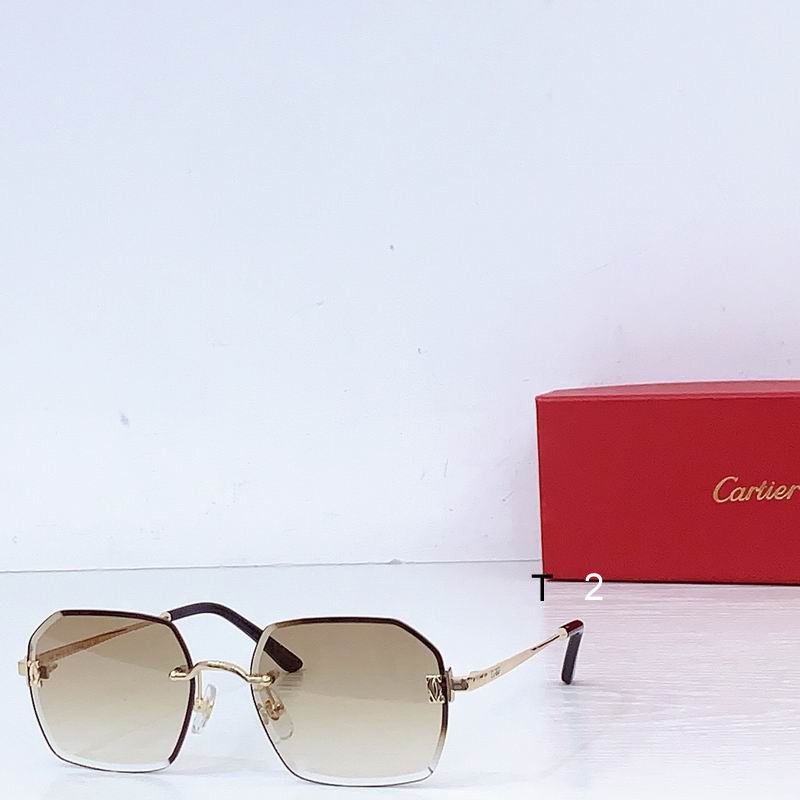 Cartier CT0591S 55 20 b06