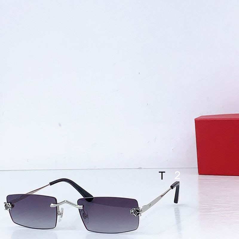 Cartier CT0598S 55-20-145 b02