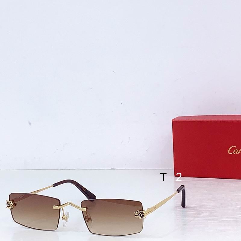 Cartier CT0598S 55-20-145 b03