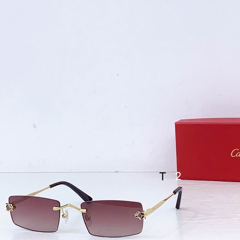 Cartier CT0598S 55-20-145 b05