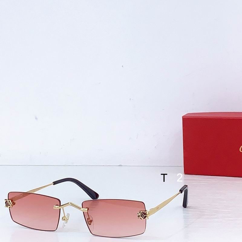 Cartier CT0598S 55-20-145 b06