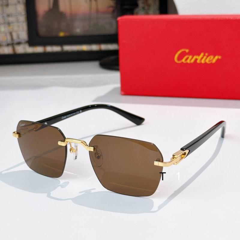Cartier CT0623S 54 18-145 a01