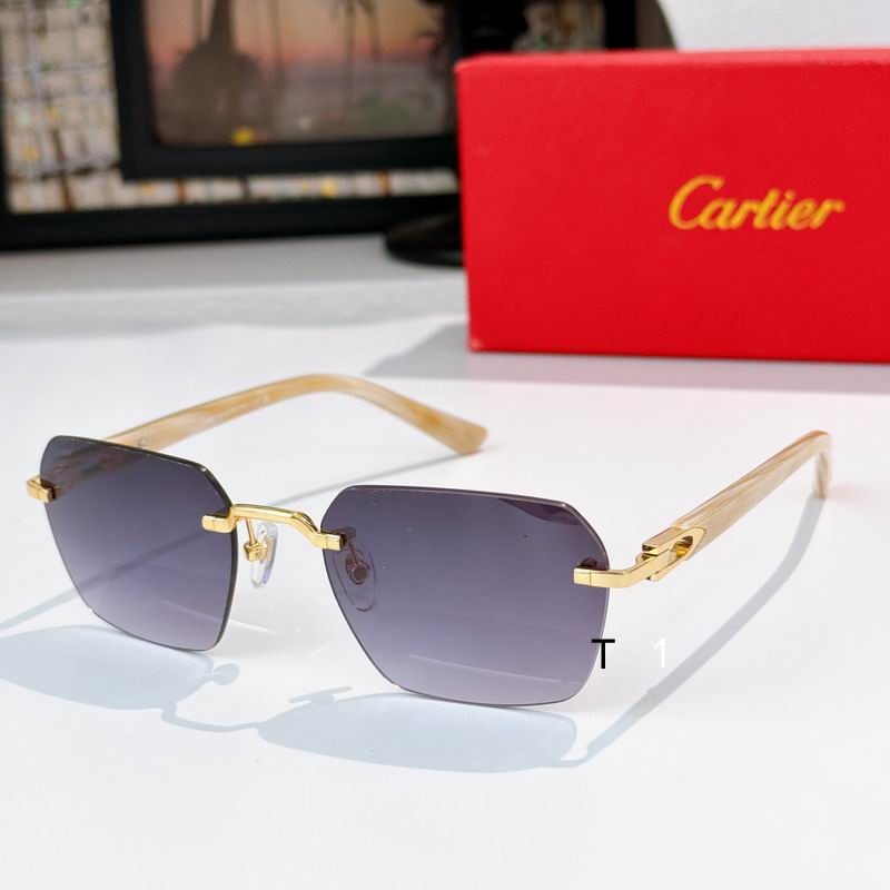 Cartier CT0623S 54 18-145 a03