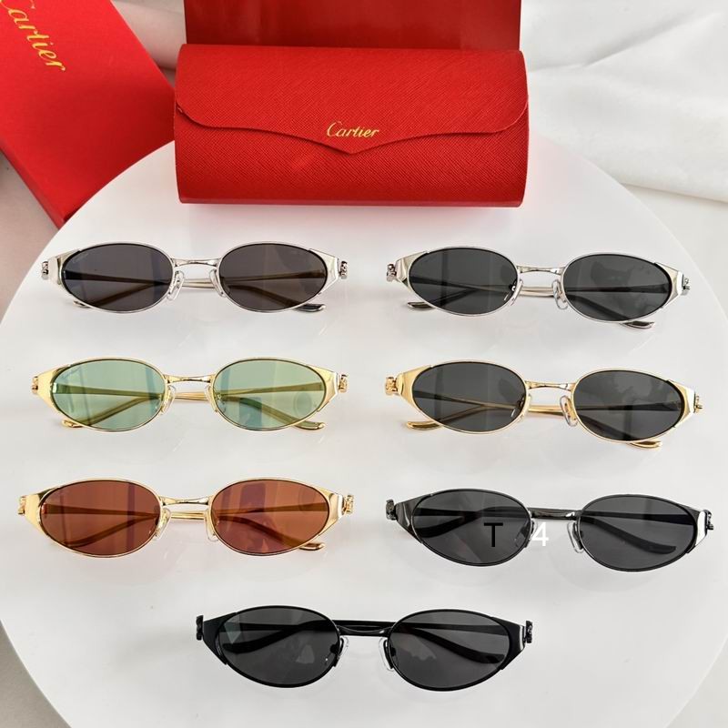 Cartier CT0630S 53 21-135 e08