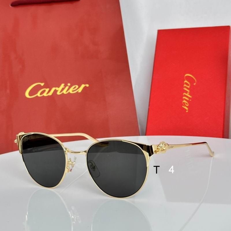 Cartier CT0631S 53 19-135 e04