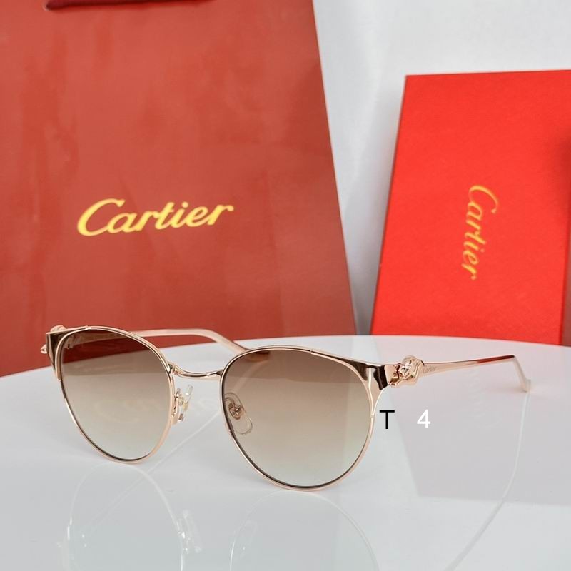 Cartier CT0631S 53 19-135 e05
