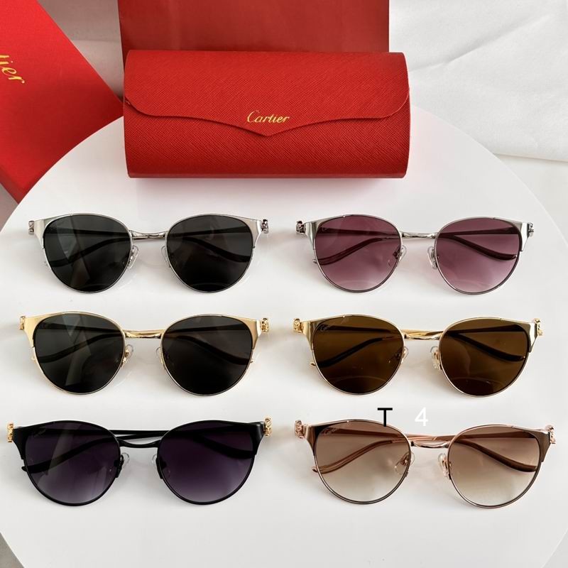 Cartier CT0631S 53 19-135 e08