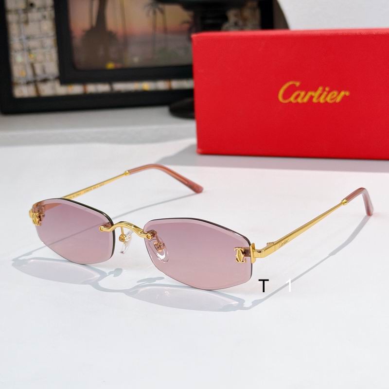 Cartier CT0677S 145 a01
