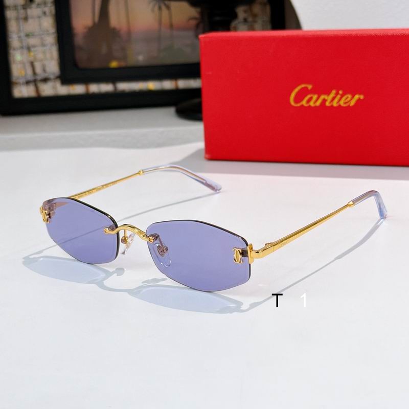 Cartier CT0677S 145 a04