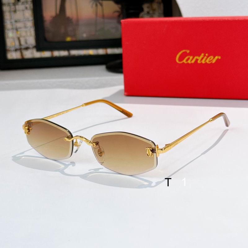 Cartier CT0677S 145 a05
