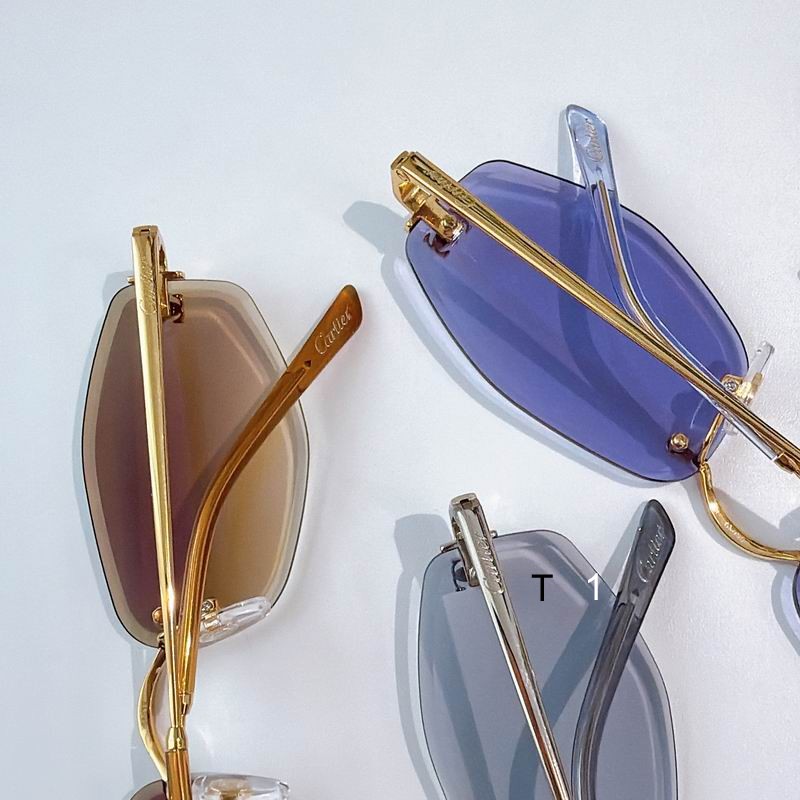 Cartier CT0677S 145 a08