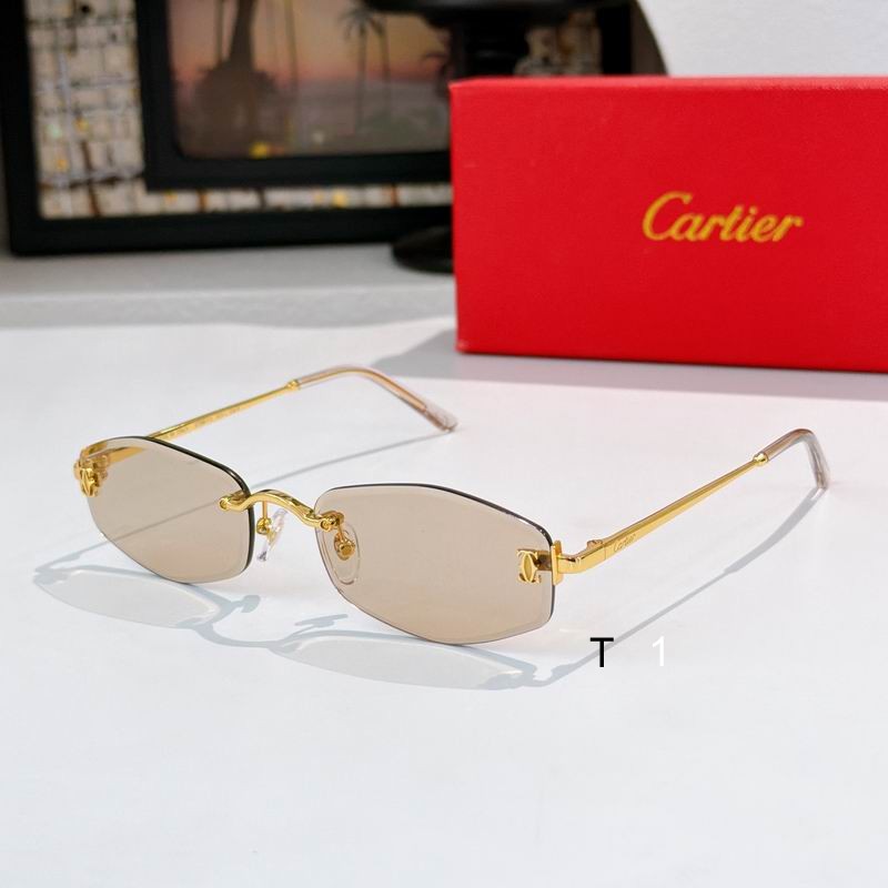 Cartier CT0677S145 a02