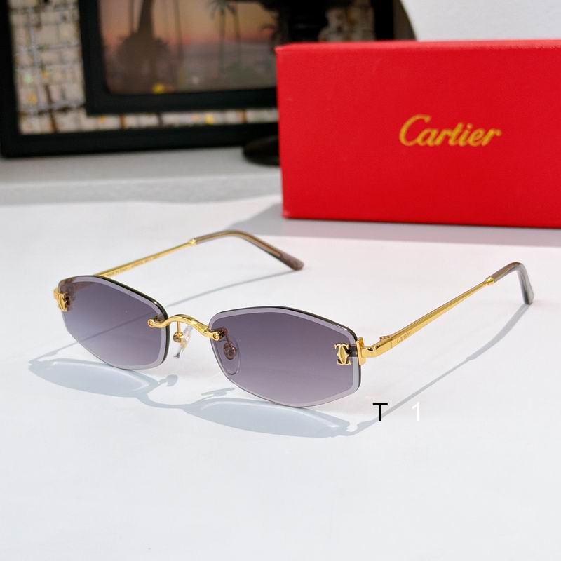Cartier CT0677S145 a03