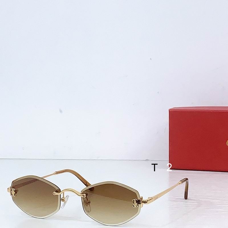 Cartier CT0678S 145 b01