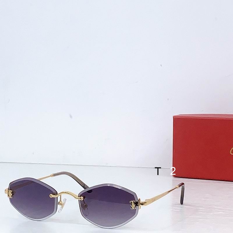 Cartier CT0678S 145 b05