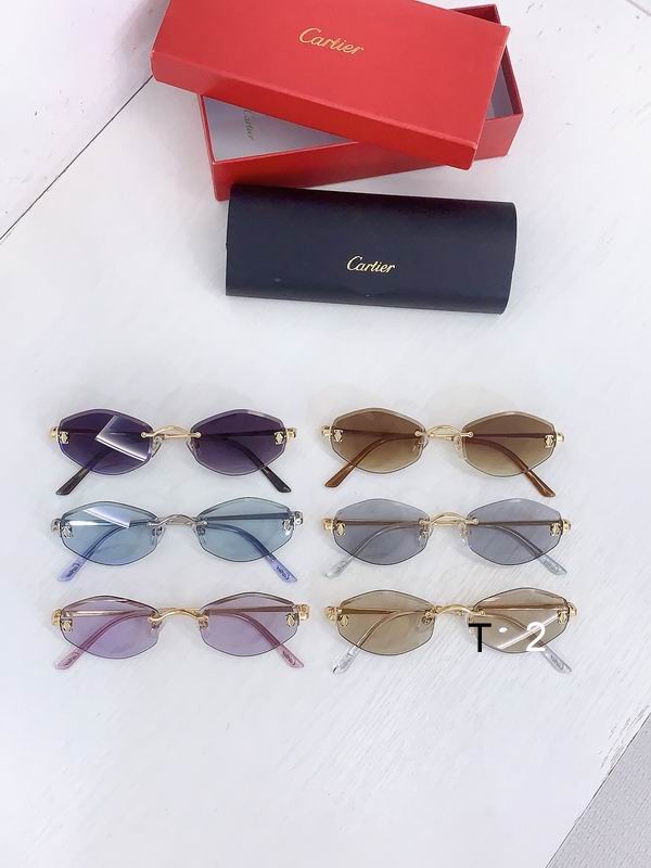 Cartier CT0678S 145 b08