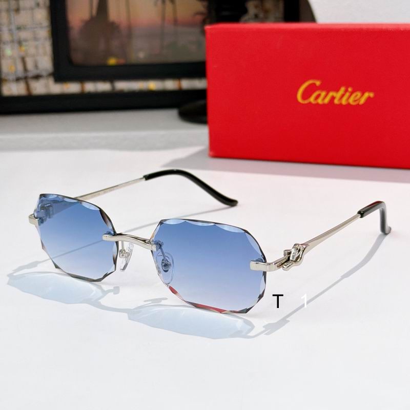 Cartier CT0679S 135 a03