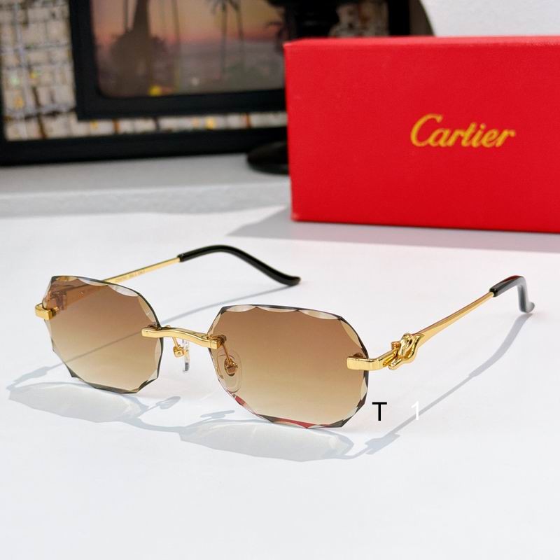 Cartier CT0679S 135 a04