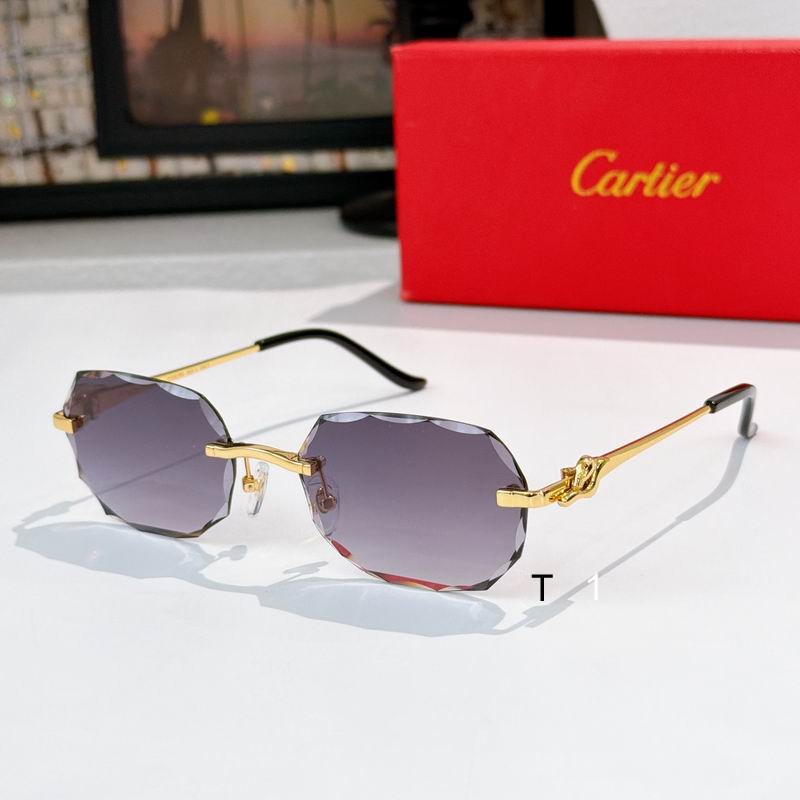 Cartier CT0679S 135 a05