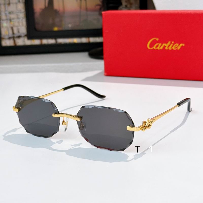 Cartier CT0679S 135 a06