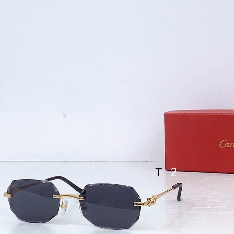 Cartier CT0679S 135 b02