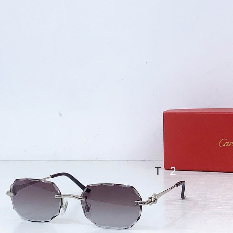 Cartier CT0679S 135 b03